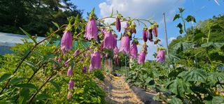 실크로드님의 연말인사 함께 나눠요 · 참여글 작성글 사진