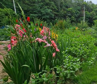 실크로드님의 연말인사 함께 나눠요 · 참여글 작성글 사진