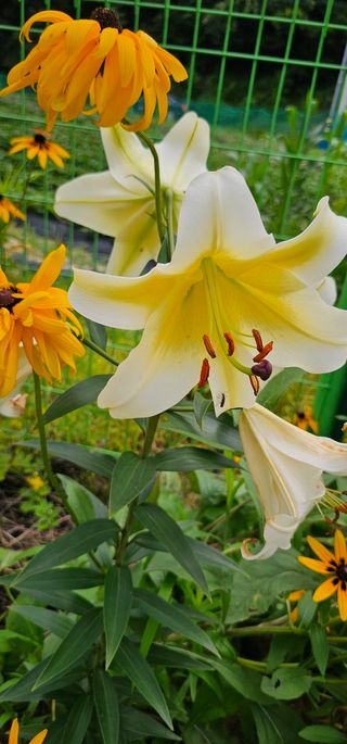 실크로드님의 연말인사 함께 나눠요 · 참여글 작성글 사진