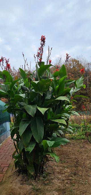 실크로드님의 연말인사 함께 나눠요 · 참여글 작성글 사진