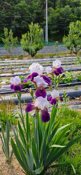 실크로드님의 연말인사 함께 나눠요 · 참여글 작성글 사진