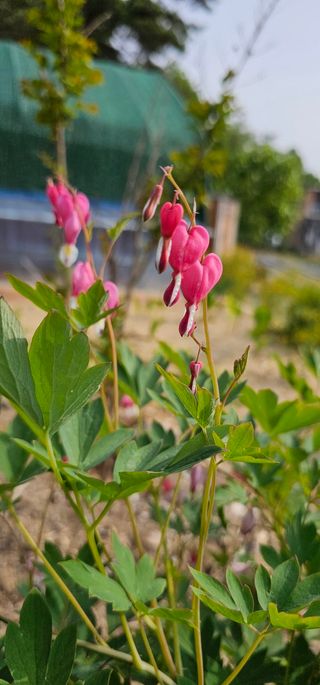 실크로드님의 연말인사 함께 나눠요 · 참여글 작성글 사진
