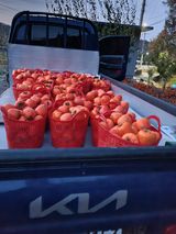 팜모닝 연말인사 함께 나눠요·참여글 게시글 이미지