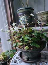 팜모닝 연말인사 함께 나눠요·참여글 게시글 이미지