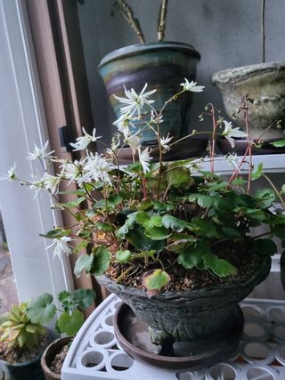 이상순님의 연말인사 함께 나눠요 · 참여글 작성글 사진