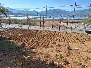 저금통님의 연말인사 함께 나눠요 · 참여글 작성글 사진