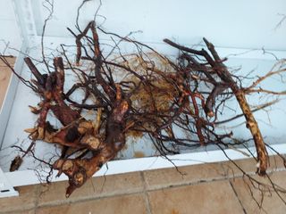 고운비님의 연말인사 함께 나눠요 · 참여글 작성글 사진