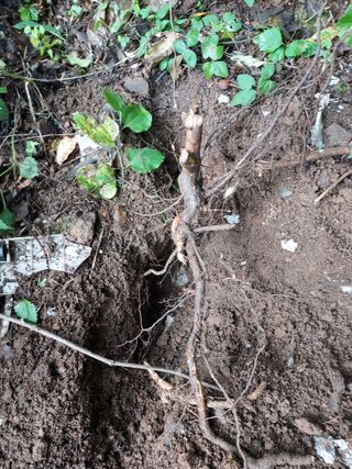 고운비님의 연말인사 함께 나눠요 · 참여글 작성글 사진