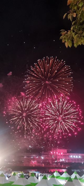 나비를좋아하는사람님의 연말인사 함께 나눠요 · 참여글 작성글 사진