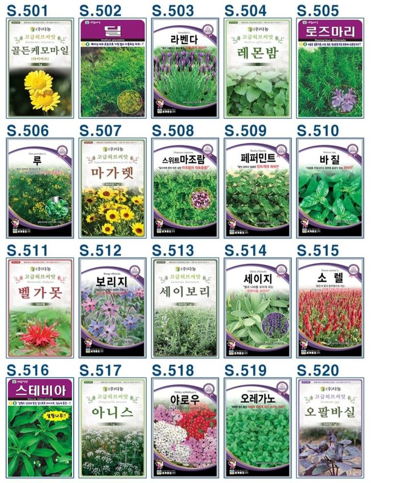 안산제일농약사님의 장터 판매 상품 [허브씨앗모음] 첨부 사진