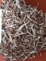 팜모닝 연말인사 함께 나눠요·참여글 게시글 이미지