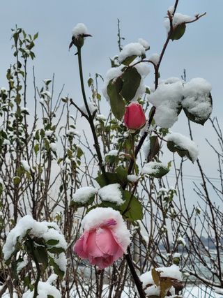 안드레아님의 연말인사 함께 나눠요 · 참여글 작성글 사진