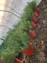 팜모닝 연말인사 함께 나눠요·참여글 게시글 이미지