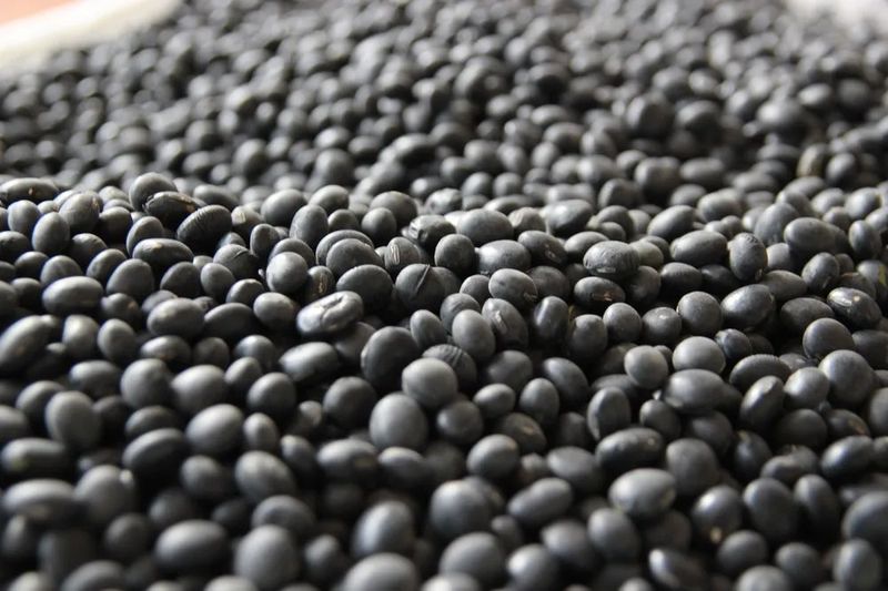 장터 상품 [속청서리태 1kg] 썸네일