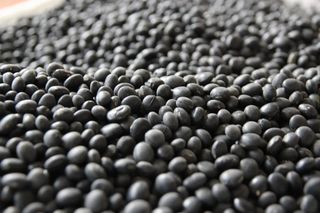 문제민님의 작성글 사진