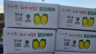 요리하는 농부님의 배추 · 시세•판로 작성글 사진