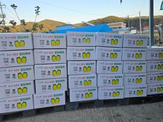 요리하는 농부님의 배추 · 시세•판로 작성글 사진