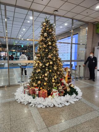 박해용(세건농장)님의 사과 · 일상 작성글 사진