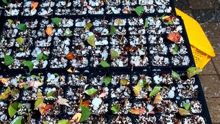 장기수님의 연말인사 함께 나눠요 · 참여글 작성글 사진