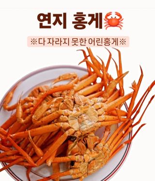 노가네수산님의 우리동네 · 동네정보 작성글 사진