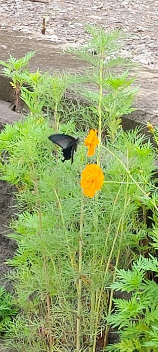 김대업님의 연말인사 함께 나눠요 · 참여글 작성글 사진