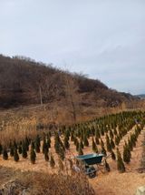 팜모닝 연말인사 함께 나눠요·참여글 게시글 이미지