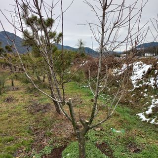 들깨15206님의 기타작물 · 영농일지 작성글 사진