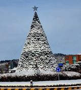 팜모닝 연말인사 함께 나눠요·참여글 게시글 이미지