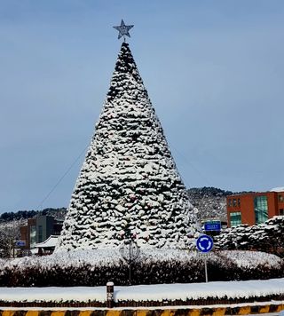 밝은숲님의 연말인사 함께 나눠요 · 참여글 작성글 사진