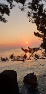 팜모닝 연말인사 함께 나눠요·참여글 게시글 이미지