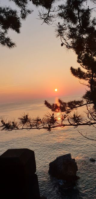 김계희님의 연말인사 함께 나눠요 · 참여글 작성글 사진