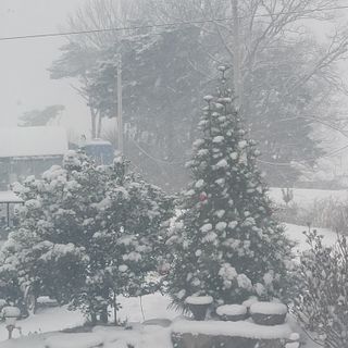 김영아님의 연말인사 함께 나눠요 · 참여글 작성글 사진