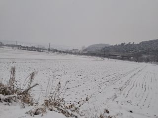 예산 촌딱 농부님의 연말인사 함께 나눠요 · 참여글 작성글 사진