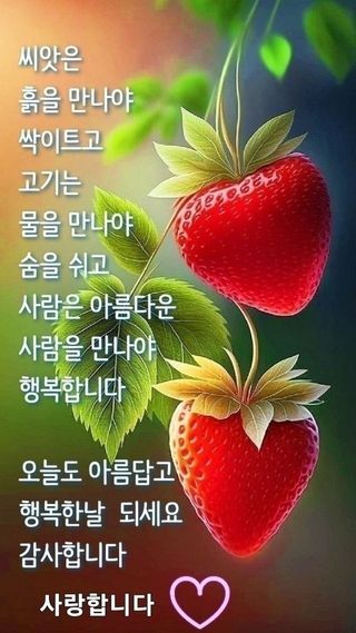 논산상월안정환님의 연말인사 함께 나눠요 · 참여글 작성글 사진