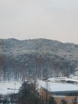 팜모닝 연말인사 함께 나눠요·참여글 게시글 이미지