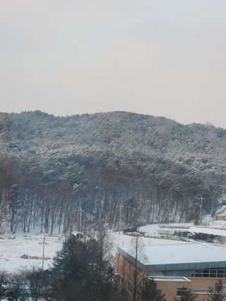김명숙님의 연말인사 함께 나눠요 · 참여글 작성글 사진