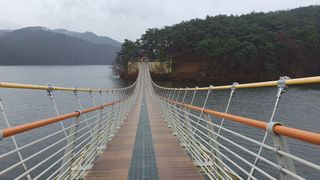 신선고을농원님의 콩 · 자유게시판 작성글 사진