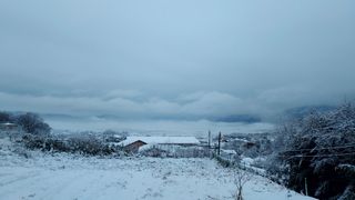 희원님의 자유주제 · 자유게시판 작성글 사진