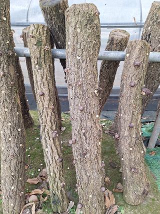 희원님의 자유주제 · 자유게시판 작성글 사진