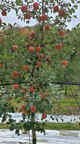 팜모닝 연말인사 함께 나눠요·참여글 게시글 이미지