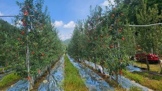 사과인조학제님의 연말인사 함께 나눠요 · 참여글 작성글 사진
