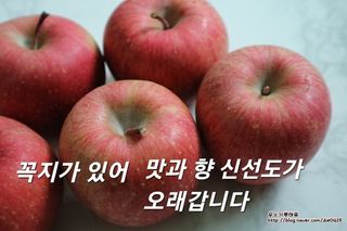 사과인조학제님의 연말인사 함께 나눠요 · 참여글 작성글 사진