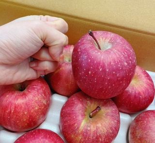 사과인조학제님의 연말인사 함께 나눠요 · 참여글 작성글 사진