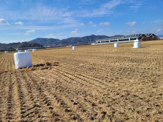 김춘성님의 벼 · 자유게시판 작성글 사진