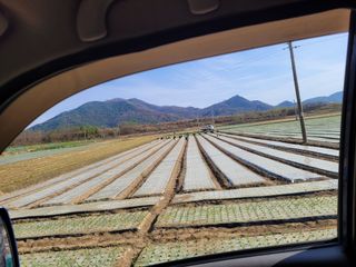 김춘성님의 벼 · 자유게시판 작성글 사진