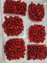 팜모닝 연말인사 함께 나눠요·참여글 게시글 이미지