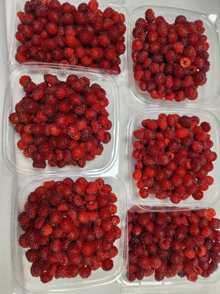 청송농장16987님의 연말인사 함께 나눠요 · 참여글 작성글 사진