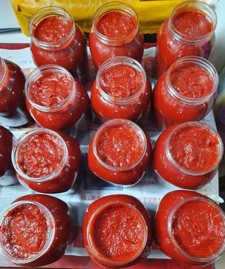 슈퍼맨님의 고추 · 수확 작성글 사진