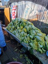 팜모닝 자유주제·자유게시판 게시글 이미지