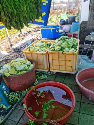 남종희님의 자유주제 · 자유게시판 작성글 사진